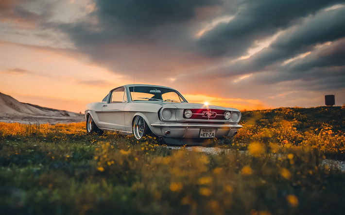 800+ Free Mustang & Car Images - Pixabay