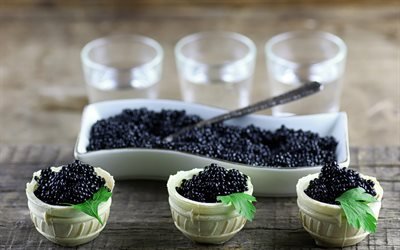Black caviar, appetizer, caviar, fish dishes