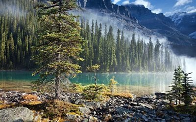 Canada, lago, montanhas, nevoeiro, floresta