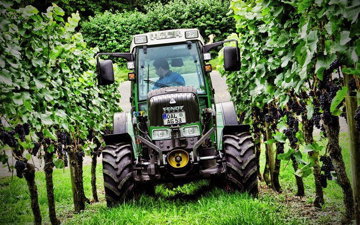 &#220;z&#252;m bağı, tarım, Fendt Fendt i&#231;inde 200 VFP, vintage, 2020 trakt&#246;rler, HDR, tarım makineleri, trakt&#246;r