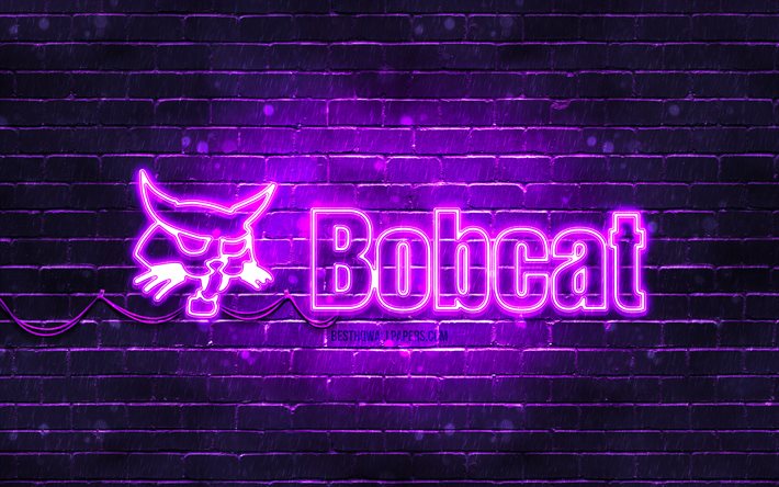 Bobcat logo viola, 4k, muro di mattoni viola, logo Bobcat, marchi, logo Bobcat neon, Bobcat