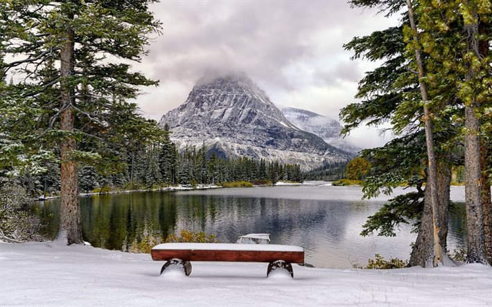 mountains, canada, tree, lake, winter, snow
