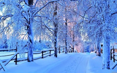snow, winter, snow-covered road, evening