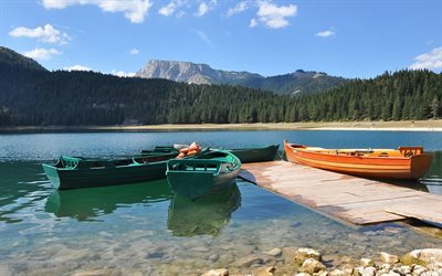 shore, black lake, forest, boats, pier, montenegro