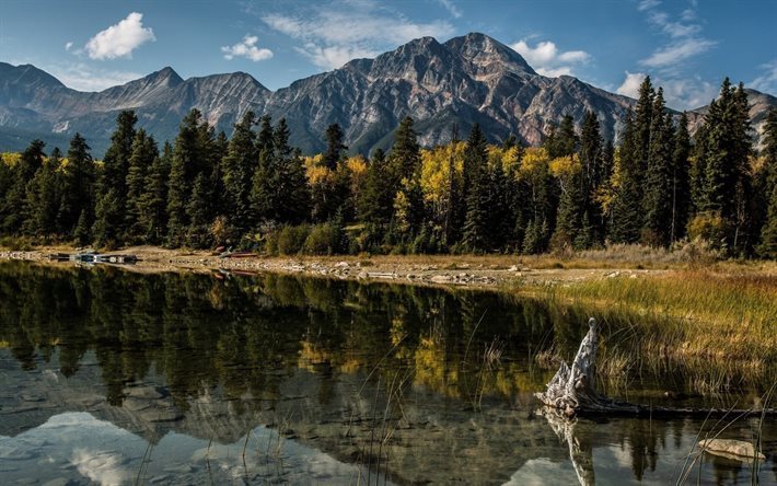 le lac, albert, l&#39;&#233;t&#233;, canada, alberta, montagnes