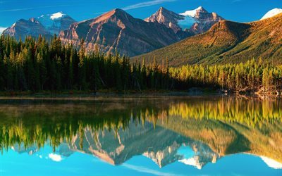 lago di herbert, alberta, montagne, foresta, herbert lake, estate, sunset alberta, canada