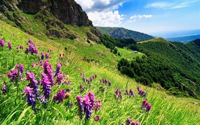 stara planina, lawn, slopes, mountains, bulgaria