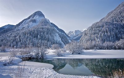 mountains, forest, winter, lake, tree