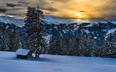 sunset, alpes, invierno, monta&#241;as, la nieve, &#225;rbol