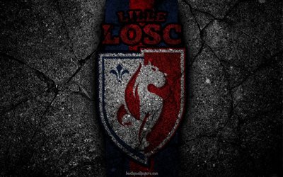 Lille, logo, art, Liga 1, soccer, Lille OSC, football club, Ligue 1, grunge, FC Lille