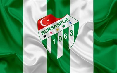 Bursaspor, Bursa, football, Turkish football club, emblem, Bursaspor logo, green silk flag, Turkey, Turkish Football Championship