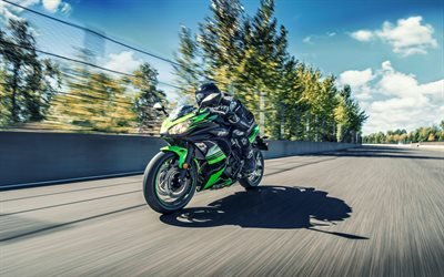 Kawasaki Ninja 650 ABS, route, 2018 de v&#233;los, de mouvement, de superbike, Kawasaki