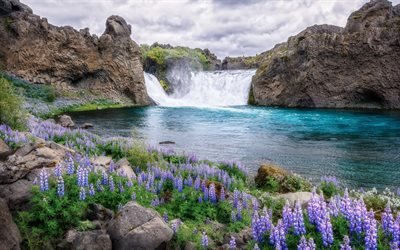 Vattenfall, sj&#246;n, stenar, lupiner, vackra vattenfall