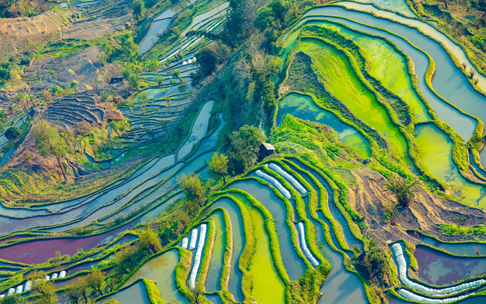 Yuanyang County, 4k, la granja, la vista a&#233;rea, los campos de arroz, Yunnan, China, Asia