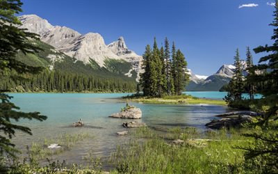 Maligne Lake, mountain lake, summer, mountain landscape, forest, Jasper National Park, Alberta, Canada