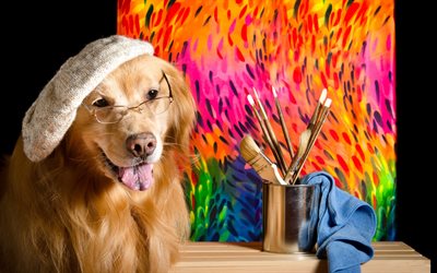 Golden retriever, cane divertente, artista, dipinge, simpatici animali, labrador, cani