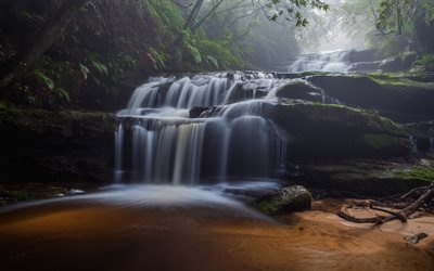 vackra vattenfall, berg, djungel, fern, fj&#228;llb&#228;ck, Japan