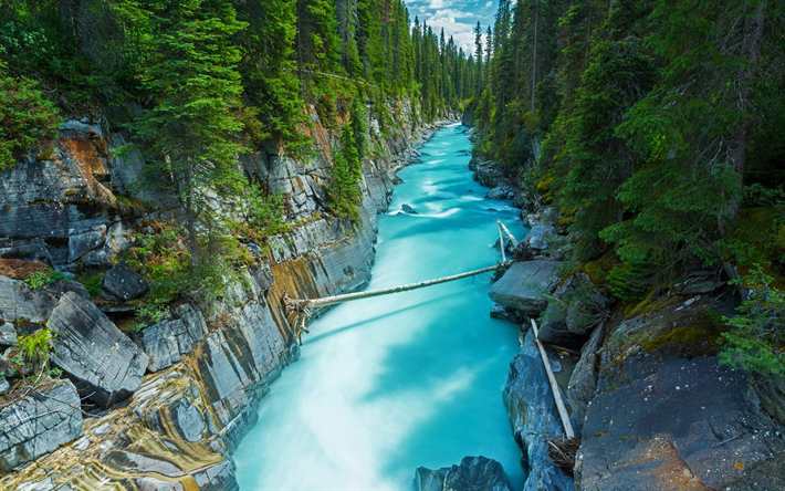 mountain river, glacial water, rocks, forest, Canada, North America, blue water