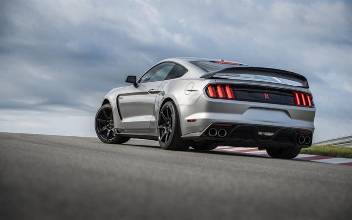 Ford Mustang GT350R, 2020, exterior, rear view, Mustang Shelby GT350R, silver sports car, new silver Mustang, tuning Mustang, American sports cars, Ford