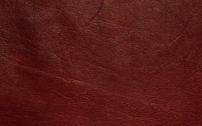 rouge cuir &#224; la texture de cuir, textures, fond rouge, le cuir de milieux, de la macro, du cuir, du cuir rouge fond