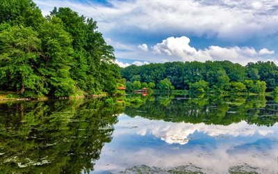 Lago Elkhorn, belo lago, floresta, bela paisagem, Columbia, Maryland, EUA