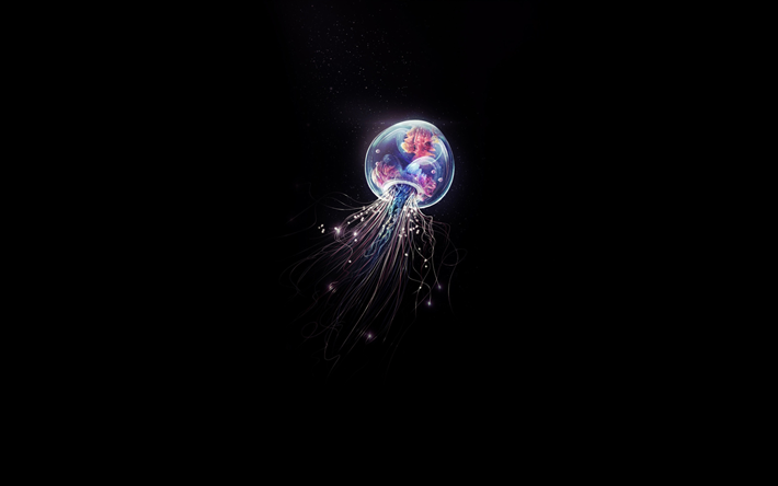 Jellyfish, 4k, minimal, black backgrounds, creative, Jellyfish 4K