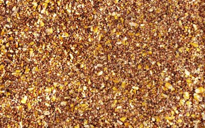 trigo sarraceno texturas, macro, brown fundos, trigo sarraceno, textura de gr&#227;o, fundo com trigo