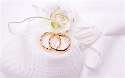 wedding rings, 4k, gold rings, wedding, wedding concepts, decorations