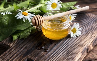 mel de flor, camomila, mel em um pote, vara de madeira para mel, conceitos de mel, doces, mel