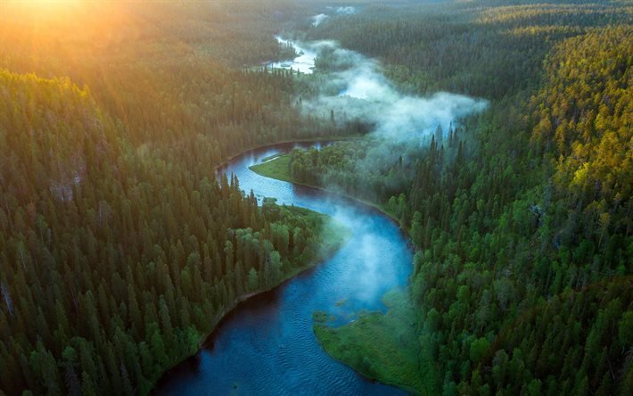 Kitkajoki, mountain river, morning, fog, forest, sunrise, aero view, Finland