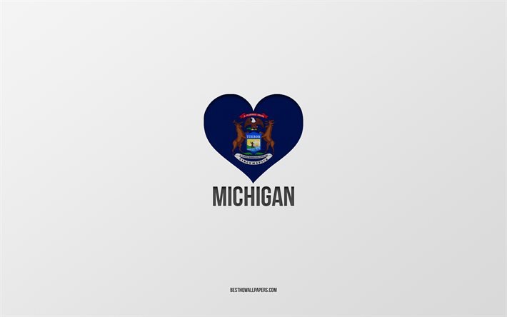 I Love Michigan, Amerikan osavaltiot, harmaa tausta, Michigan state, USA, Michigan lippu syd&#228;n, suosikki osavaltiot, Love Michigan