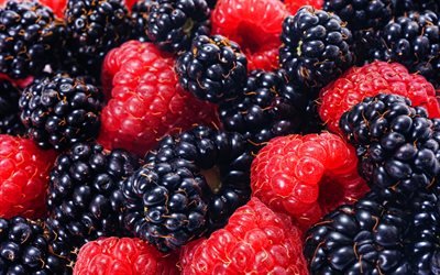 raspberries, blackberries, 4k, berries, macro, fresh fruits, dew, fruits
