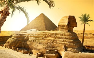 kairo, reisen, giza, giza necropolis, pyramide des cheops, die gro&#223;e sphinx, &#228;gypten, palmen, sand