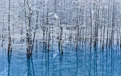 Hokkaido, floresta, inverno, lago, reflex&#227;o, Jap&#227;o