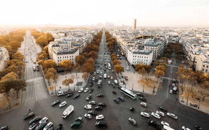 パリの, 街並み, 車, 朝, フランス