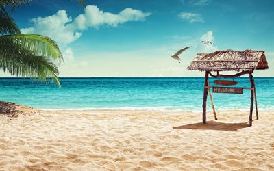 tropical island, beach, summer vacation, pales, palms, sea, summer, sun