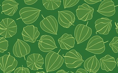 green physalis pattern, 4k, floral patterns, decorative art, green flowers, Physalis patterns, abstract physalis pattern, background with physalis, floral textures, physalis pattern