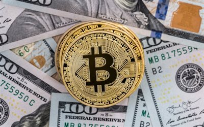 Bitcoin Gold Coin, Bitcoin in american dollars, cryptocurrency, bitcoin sign, finance concepts, dollars background, Bitcoin