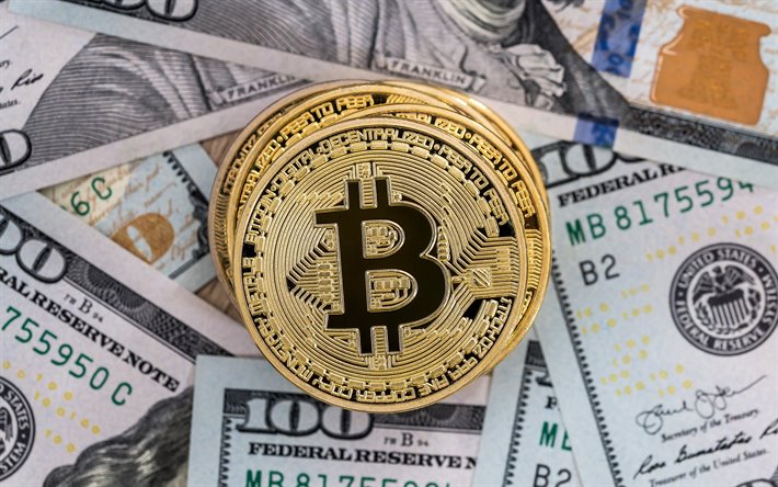 ビットコイン金貨, ビットコインに米ドル, cryptocurrency, ビットコインのサイン, 金融の概念, ドル背景, ビットコイン