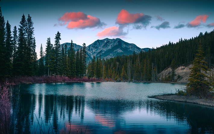 lago de montanha, p&#244;r do sol, noite, floresta, paisagem de montanha, EUA