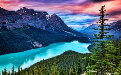 4k, Peyto بحيرة, غروب الشمس, حديقة بانف الوطنية, الغابات, الصيف, روكي الكندية, HDR, الطبيعة الجميلة, كندا, الجبال, أمريكا الشمالية