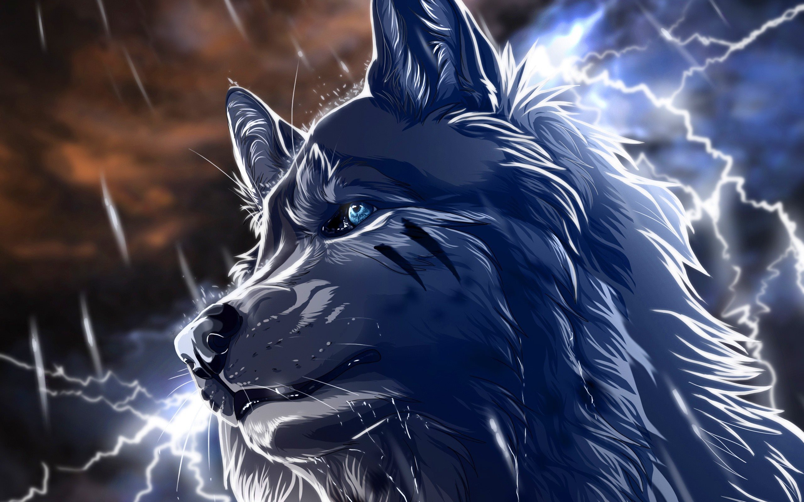  Wolf Wallpapers and Backgrounds  APK for Android Download
