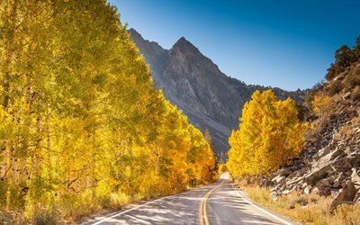 autumn mountain landscape, road, forest, yellow tree, mountains