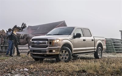 Ford F-150, 2018, American SUV, new beige F-150, stable, Ford