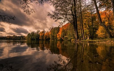 湖Hancza, 秋, 黄色の木, 秋の景観, ポーランド, 美しい湖