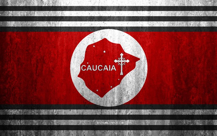 Flaggan i Caucaia, 4k, sten bakgrund, Brasiliansk stad, grunge flagga, Caucaia, Brasilien, Caucaia flagga, grunge konst, sten struktur, flaggor av brasilianska st&#228;der