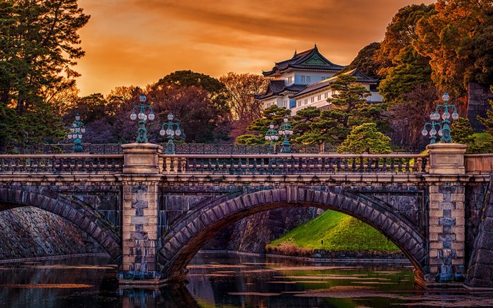 Castello di Edo, 4k, Palazzo Imperiale di Tokyo, autunno, giapponese palazzi, bella natura, Tokyo, Giappone, Asia