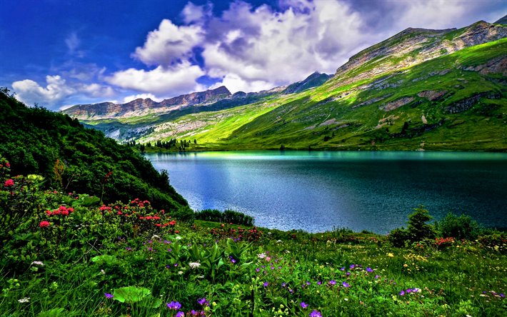 Engstlensee, summer, Lake Engstlen, Alps, mountains, HDR, beautiful nature, Bernese Alps, Switzerland, Swiss nature