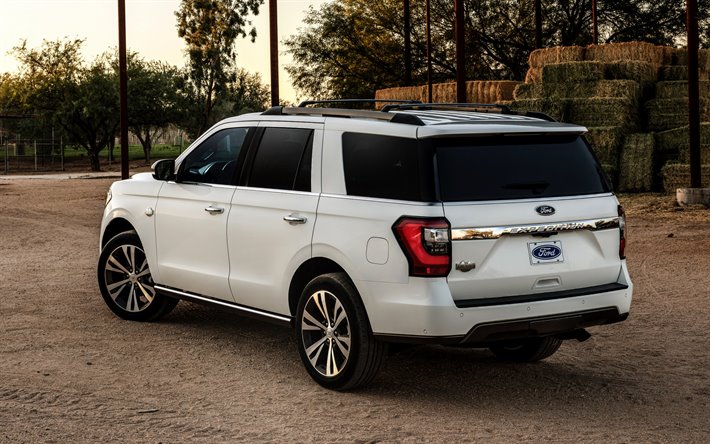 2020, Ford Expedition, rear view, exterior, luxury white SUV, new white Expedition, american cars, SUV, Ford