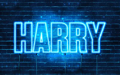 Harry, 4k, pap&#233;is de parede com os nomes de, texto horizontal, Harry nome, luzes de neon azuis, foto com Harry nome